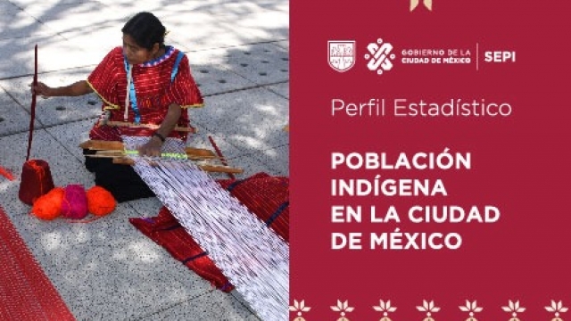 Perfil de Población Indígena en la Ciudad de México