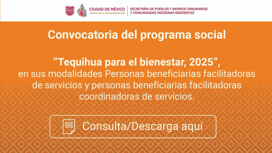 Convocatoria “Tequihua para el bienestar, 2025”, Personas facilitadoras coordinadoras de servicios.
