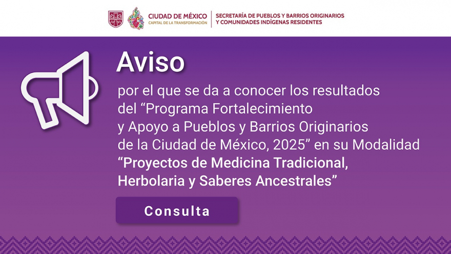 Resultados: Proyectos de Medicina Tradicional, Herbolaria y Saberes Ancestrales 2025