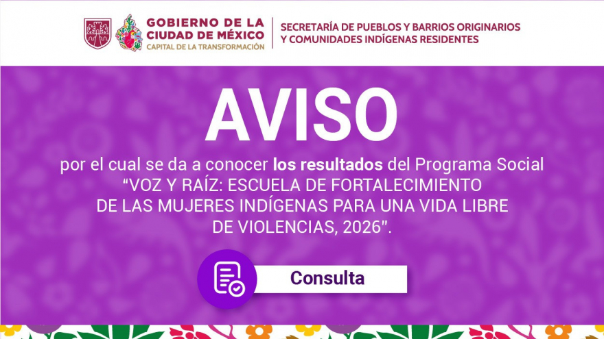 Resultados: Voz y Raíz. Escuela de Formación de las Mujeres Indígenas