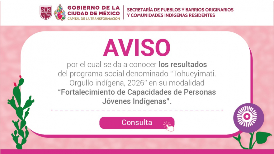 Resultados Tohueyimati, Modalidad “Fortalecimiento De Capacidades De Personas Jóvenes Indígenas